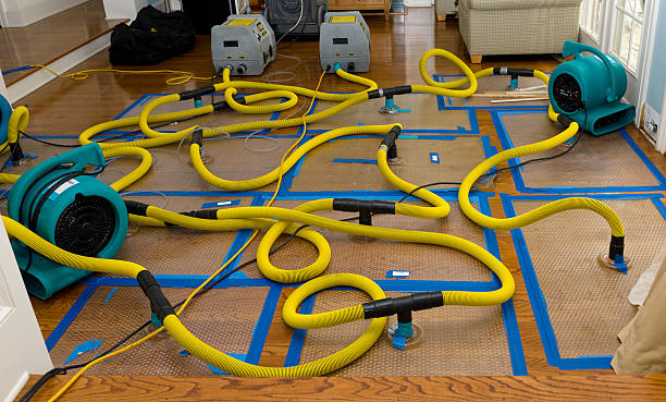 Professional Basement Flood Cleanup technician working in Bremen, GA